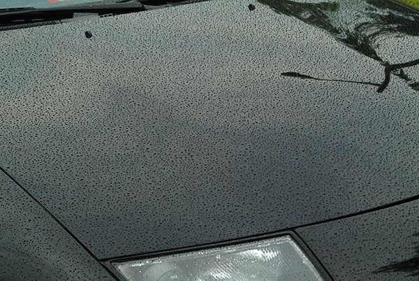 z_waxed