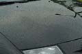 z_waxed